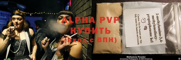 стафф Осташков