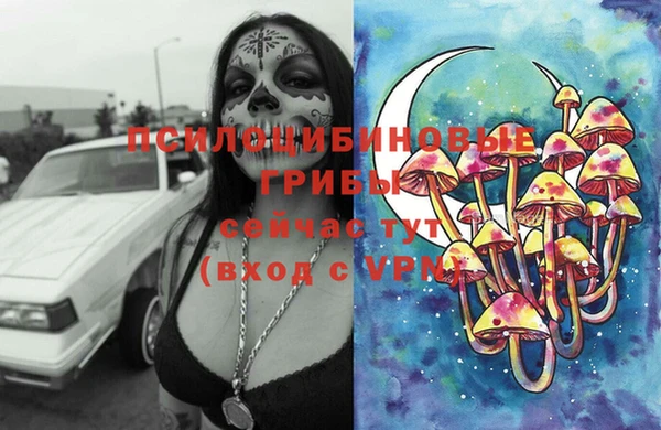 прущие крисы Братск