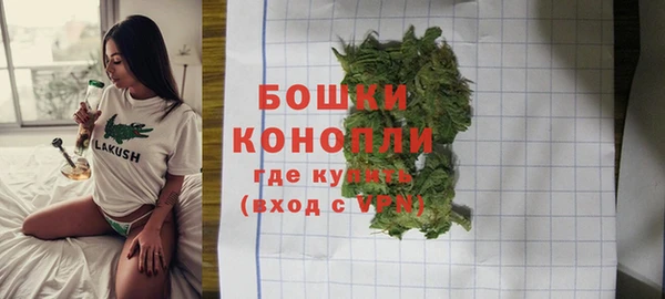 СК Пересвет