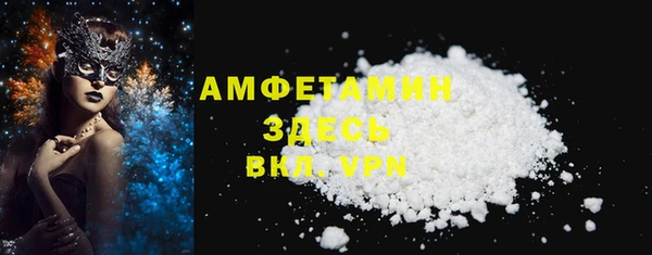 СК Пересвет