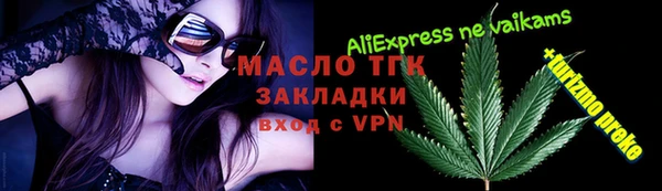 СК Пересвет