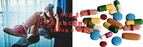 СК Пересвет