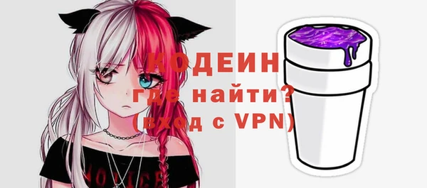 СК Пересвет