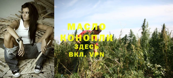 мяу мяу кристалл Переславль-Залесский